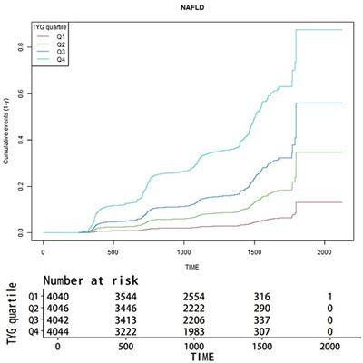 Triglyceride glucose index as a predictor for non-alcoholic fatty liver disease: insights from a longitudinal analysis in non-obese individuals